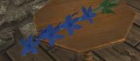 A Bouquet of blue flowers