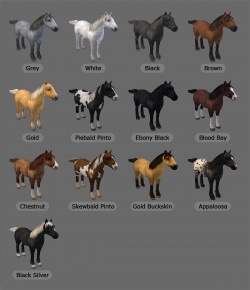 Horse colours, image provided by Malena