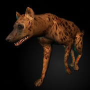 180px-Hyena.jpg
