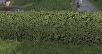 A Hedge