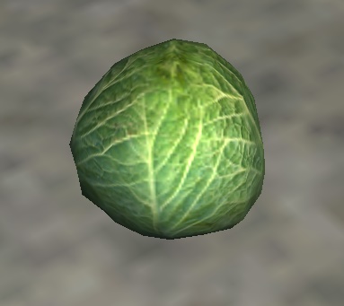 File:Cabbage.jpg