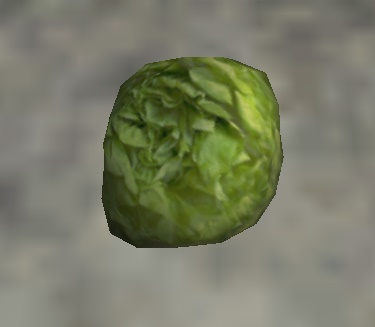 File:Lettuce.jpg
