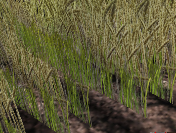 Wheat-harvest.png