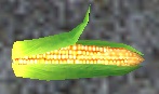A Corn