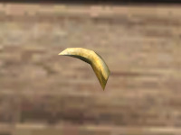 A Tooth