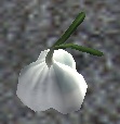 Thumbnail for version as of 08:08, 19 April 2012