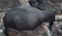 Thumbnail for version as of 22:35, 9 January 2010