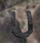 A Horse shoe