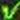 Thumbnail for version as of 01:06, 7 October 2015