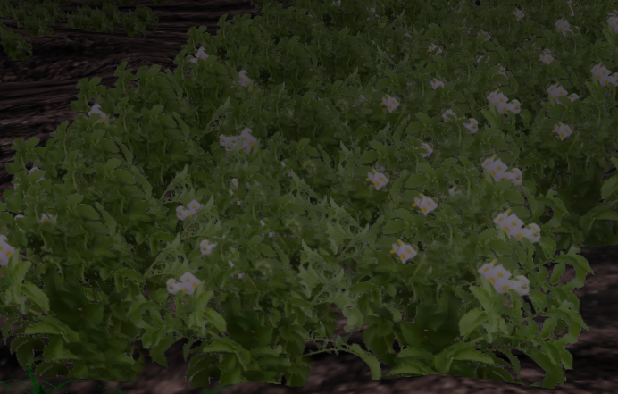 Potato-harvest.png