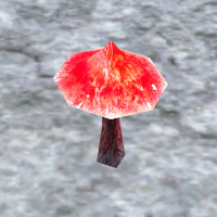 A Red mushroom