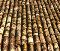 A Pottery shingle roof