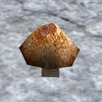 A Brown mushroom