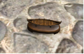Thumbnail for version as of 14:14, 19 September 2023