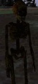Helloweenguard.jpg