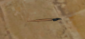 Inkbrush.png