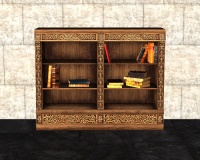 A Low bookshelf
