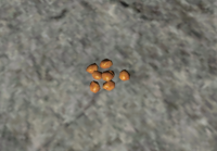 A Golden pepper