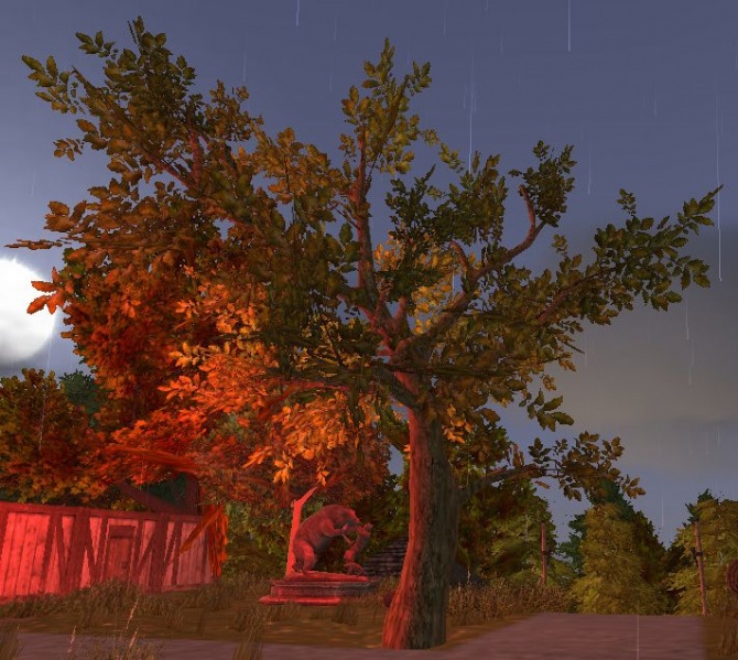 File:Walnut.jpg