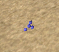 A Starberries