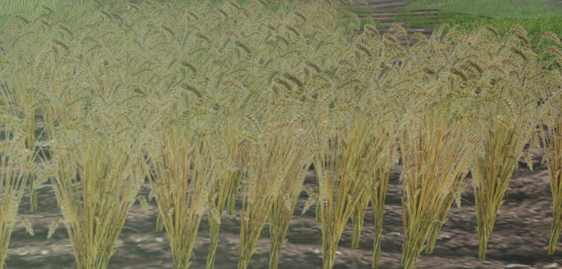 File:Rye-harvest.png