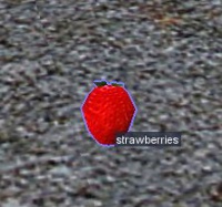 A Strawberry