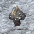Thumbnail for version as of 15:48, 17 February 2017