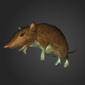 Thumbnail for version as of 21:38, 19 February 2014