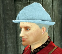 A Forester's wool hat