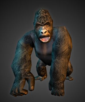 Gorilla.jpg