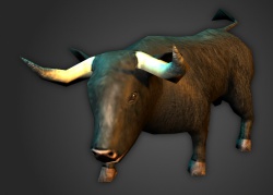 A Bull