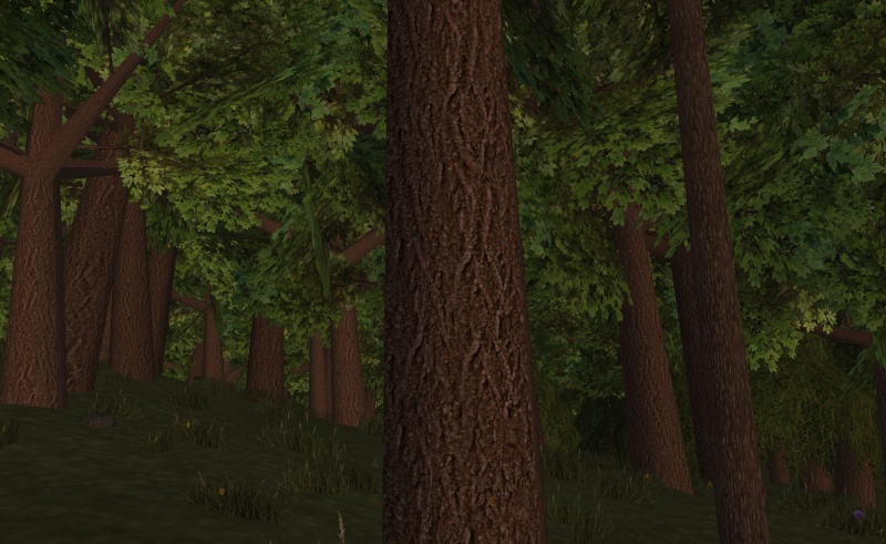 File:Newmaple.jpg