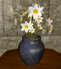 A Spring flowers
