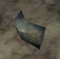Bison horn.jpg