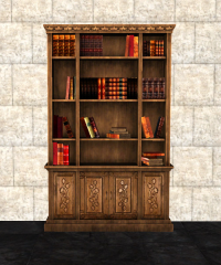 A High bookshelf