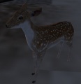 Thumbnail for version as of 00:50, 21 December 2012