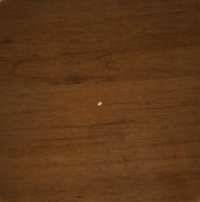 A Grain of wheat
