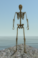 Thumbnail for version as of 16:15, 28 March 2021