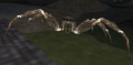 Thumbnail for version as of 08:59, 3 January 2013