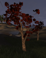 Thumbnail for version as of 23:51, 16 October 2019