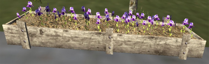 File:Blue flowerbed.jpg