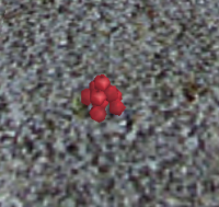 A Lingonberries