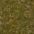 Thumbnail for version as of 18:36, 15 April 2012