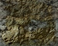 A sandstone vein