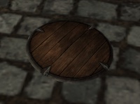 A Small wooden shield