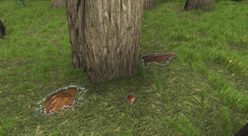 File:Rotting wood.jpg