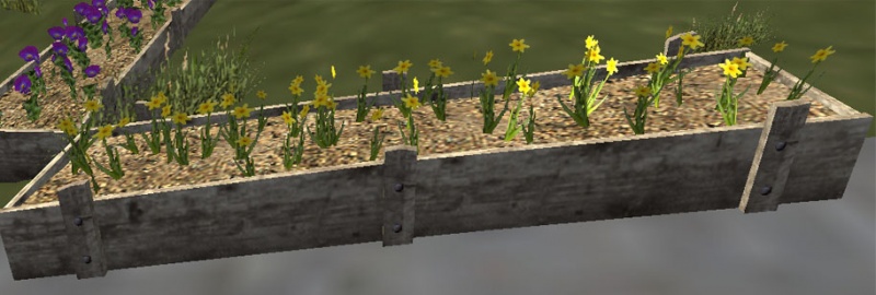 File:Yellow flowerbed.jpg