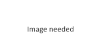 A Log window