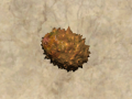 Thumbnail for version as of 19:31, 29 December 2023