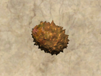 A Drakemelon